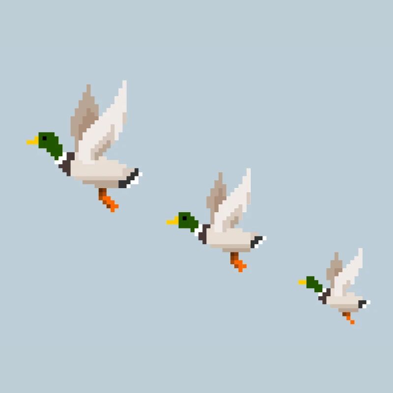 Flying Ducks