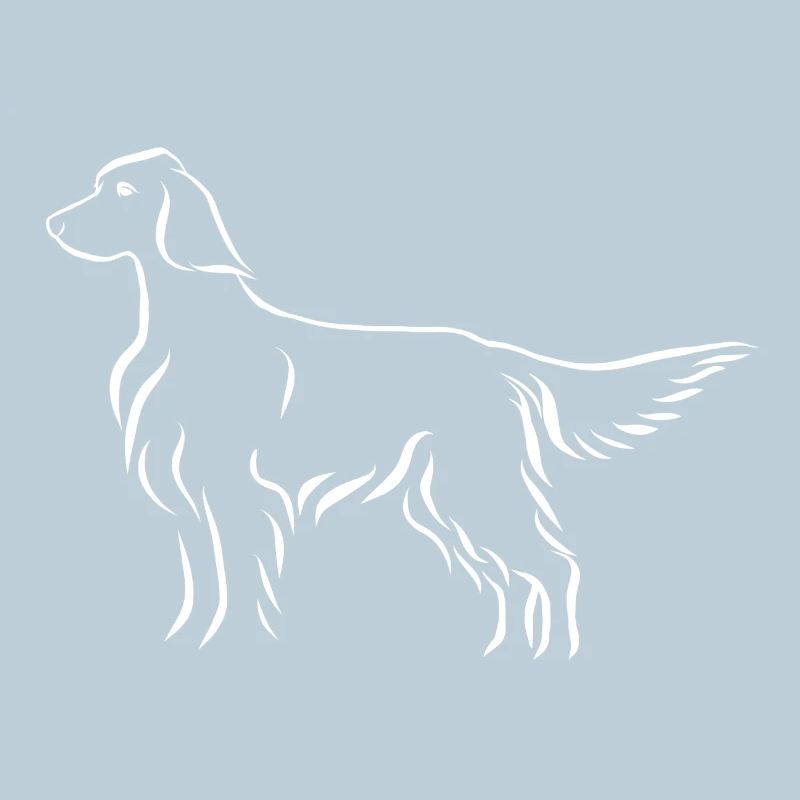 Setter stehend