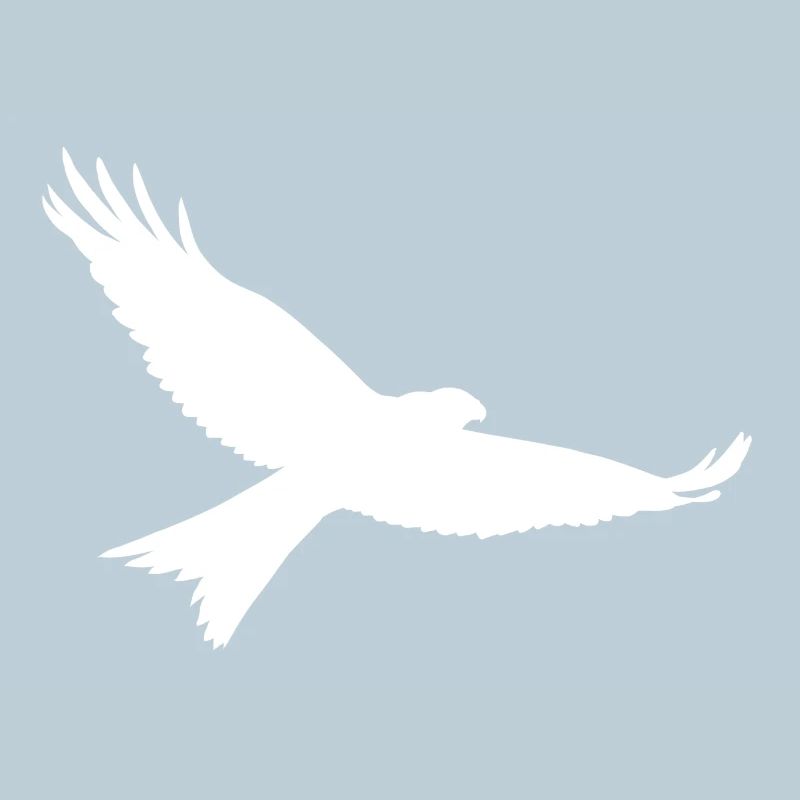 Oiseau de proie en blanc