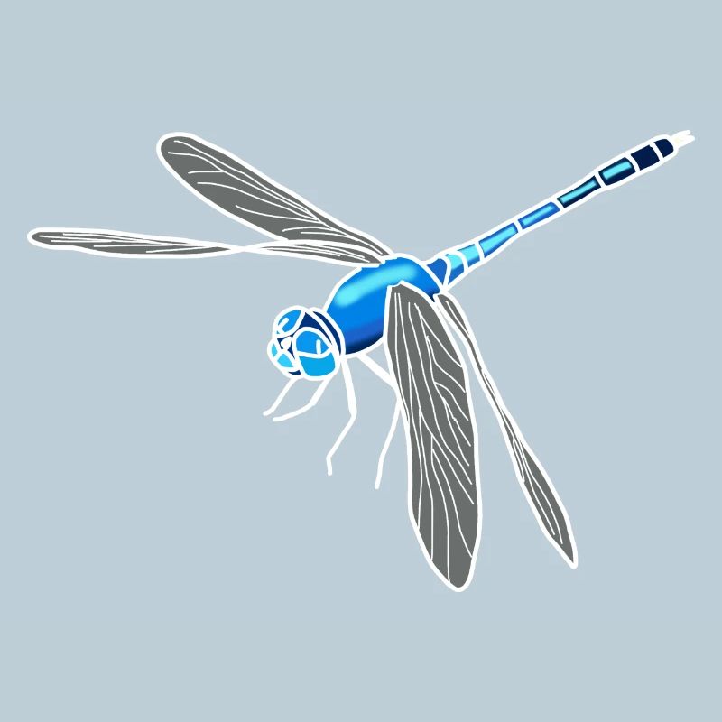 Libelle