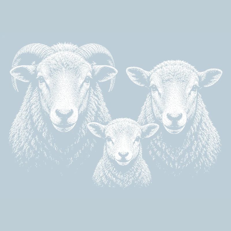 mouton