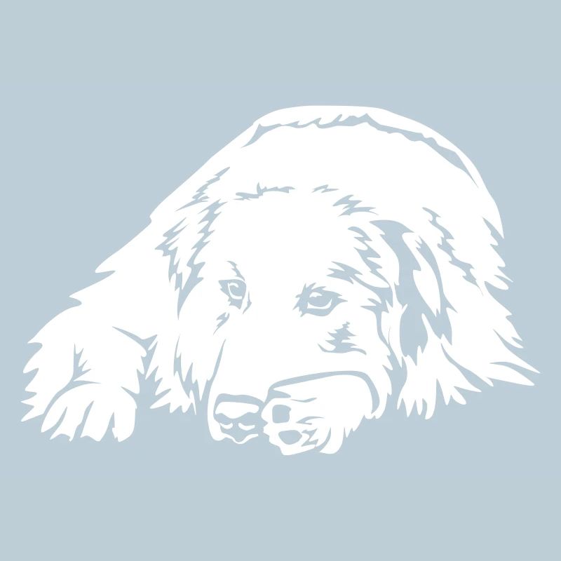 Pyreneenberghund « Black Edition »