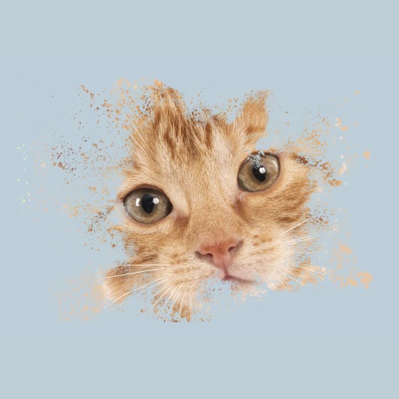 Chat orange avec éclaboussure d’aquarelle