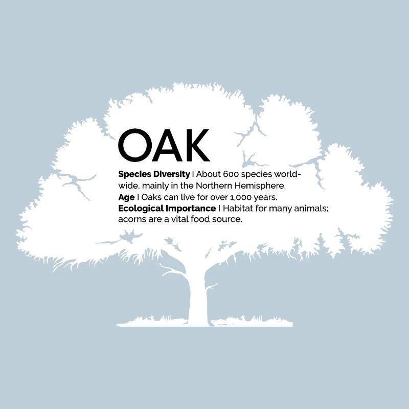 OAK Oaks with Information Nature Conservation Tree Forest