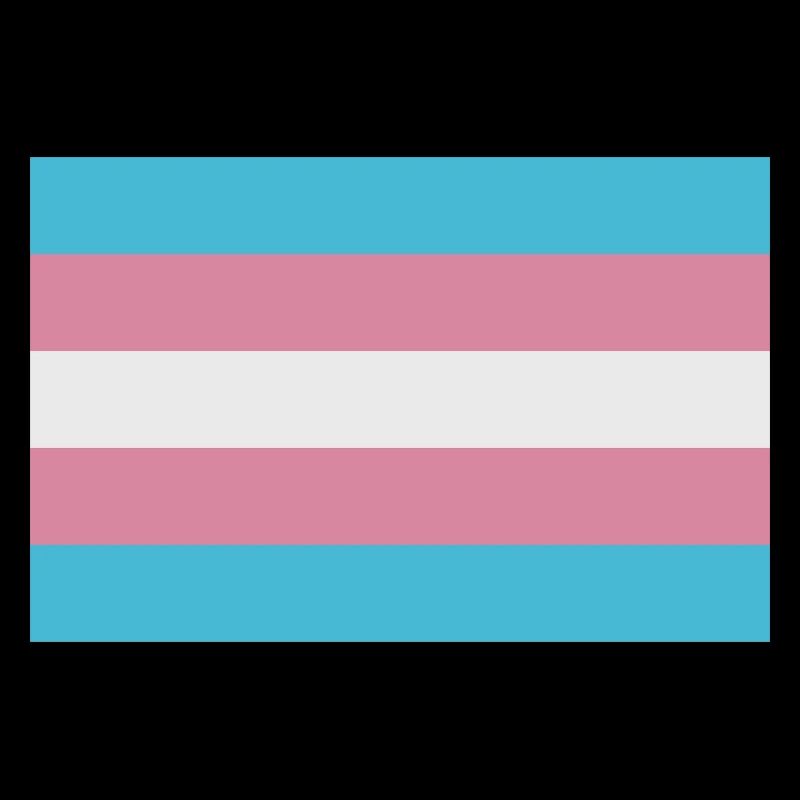 Trans flag