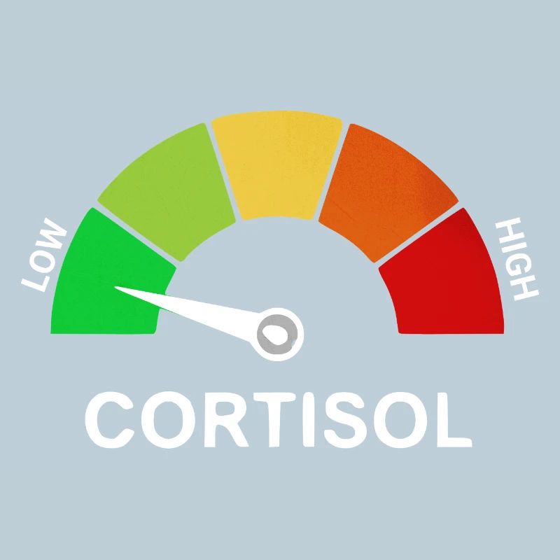 Échelle de cortisol bas