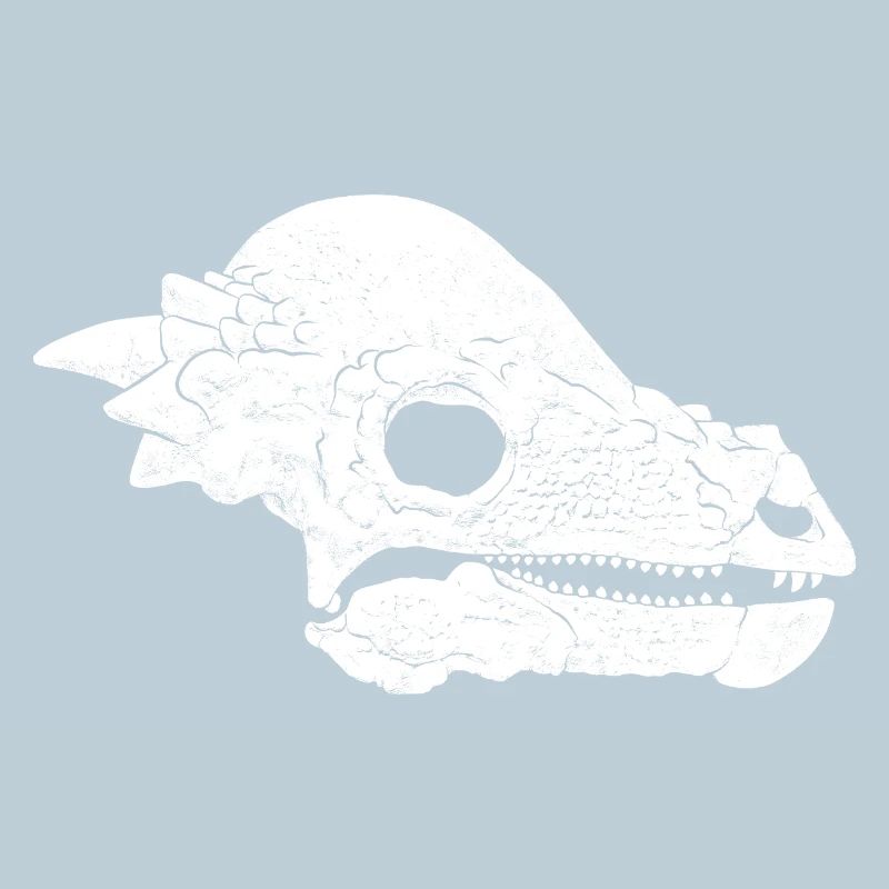 Crâne fossile de Pachycephalosaurus
