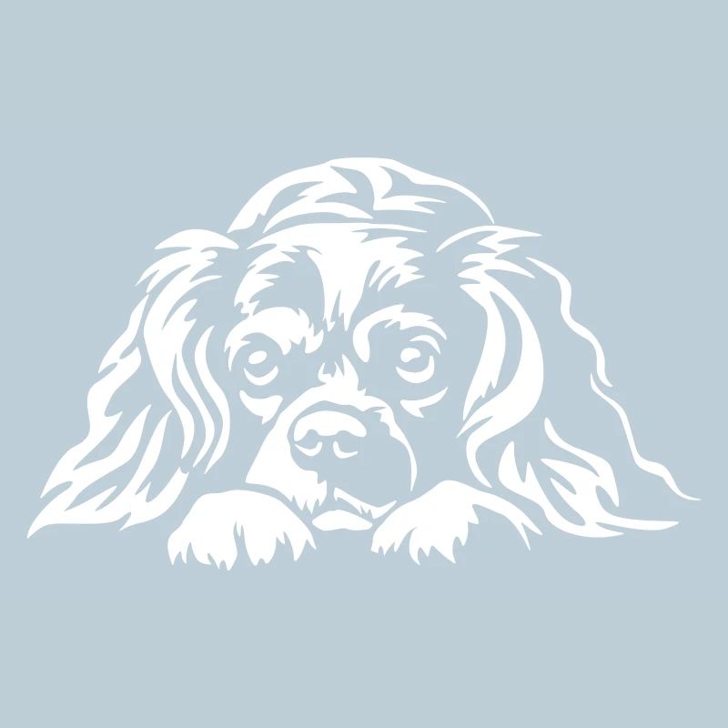 Cavalier King Charles Spaniel "Black Edition"