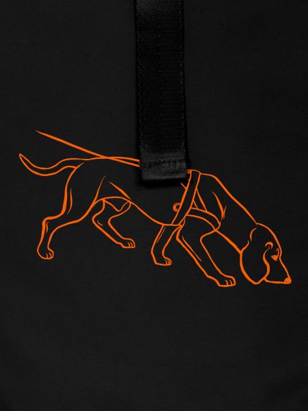 Sweat dog in orange