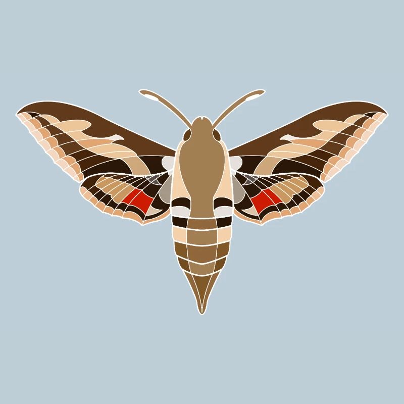 Papillon de paille de lit