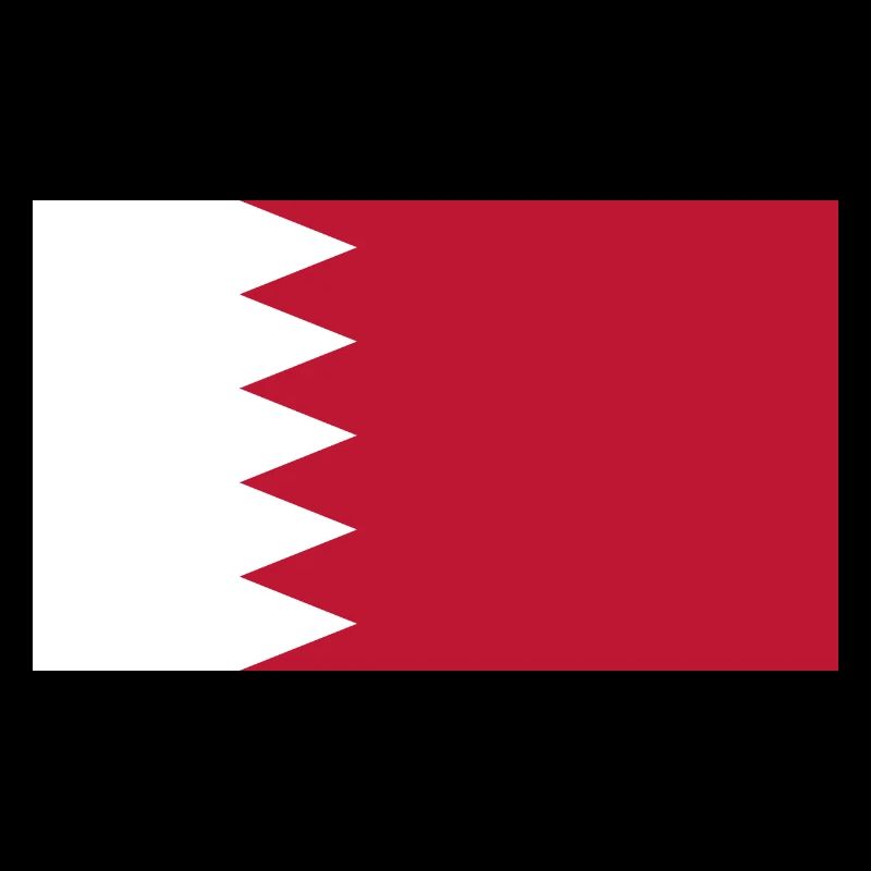 Qatar Flag Flag