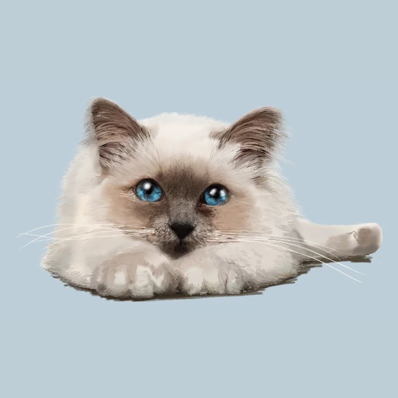 Blue-eyed cat resting