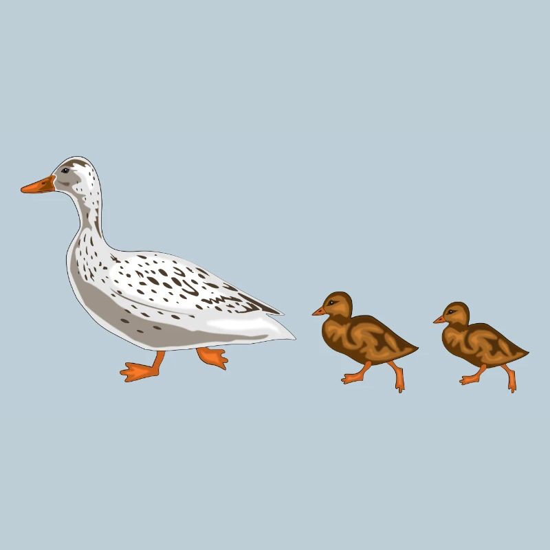 duck