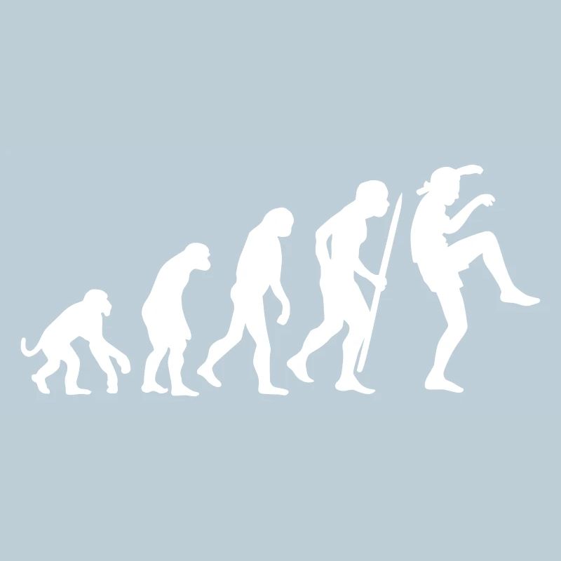 Funny Evolution Karate Vintage 80s Crane Kick