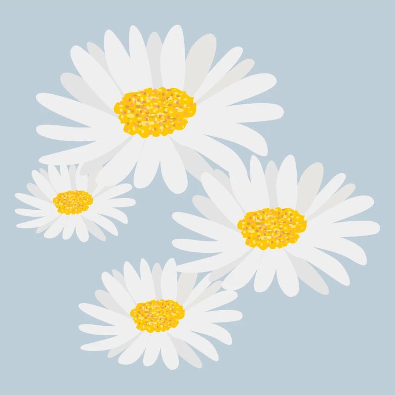 Flower Daisies
