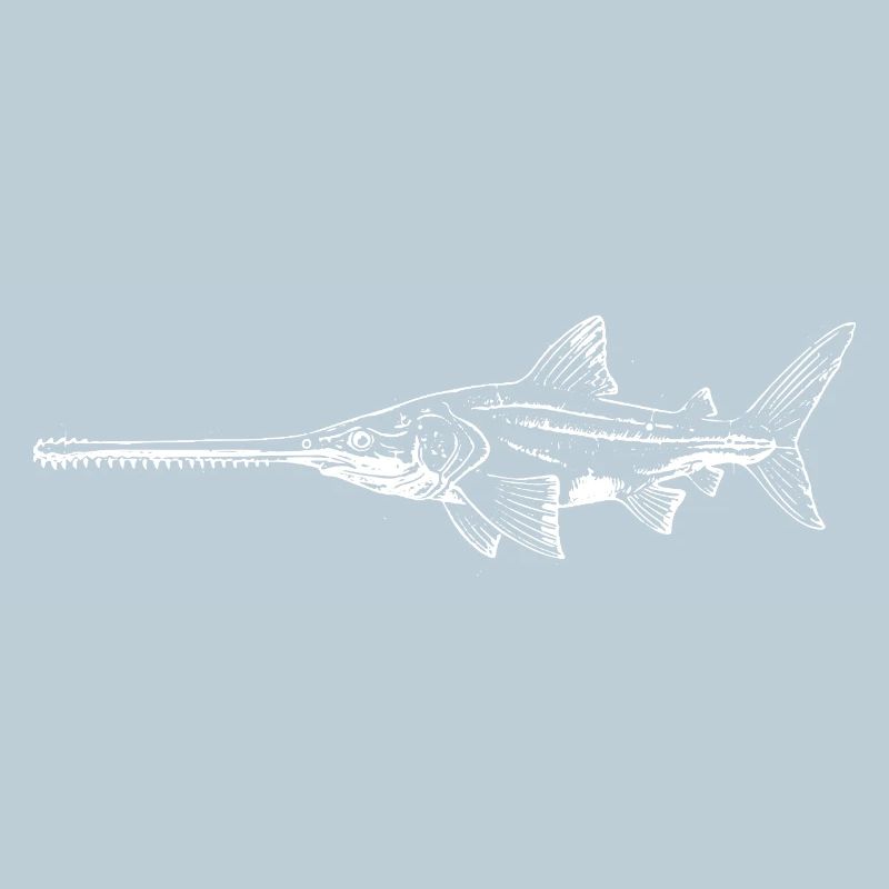 Swordfish Silhouette Night Swim