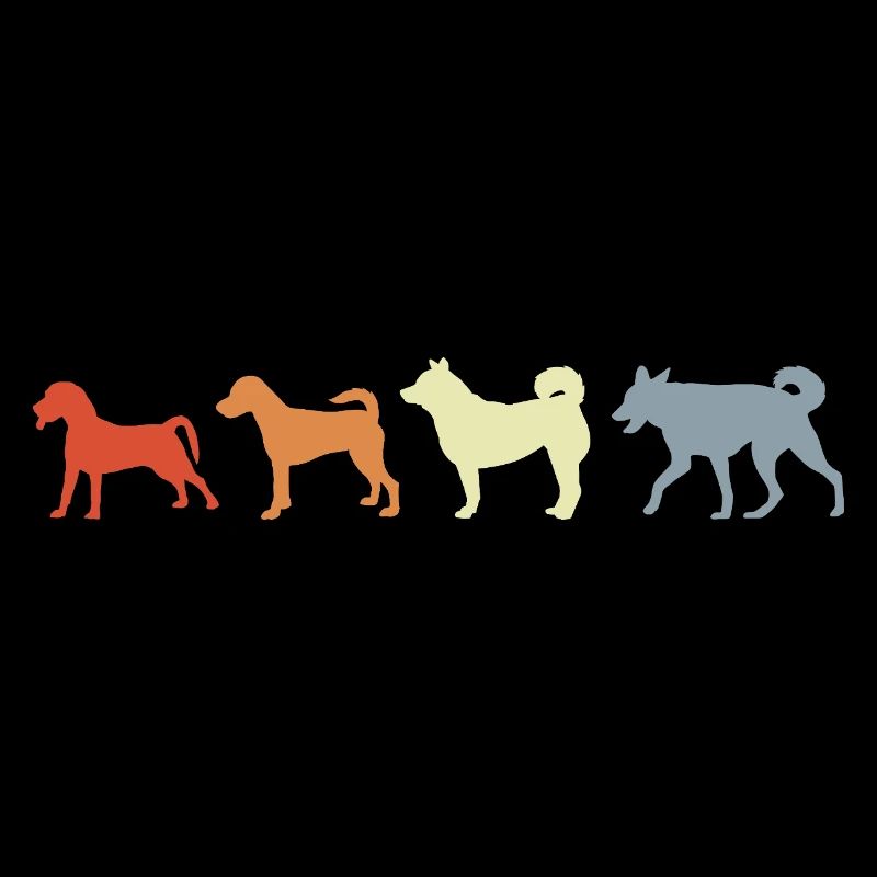 Évolution canine vintage