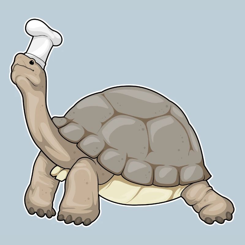 Chef Tortue Chef Chef Cuisson du chapeau