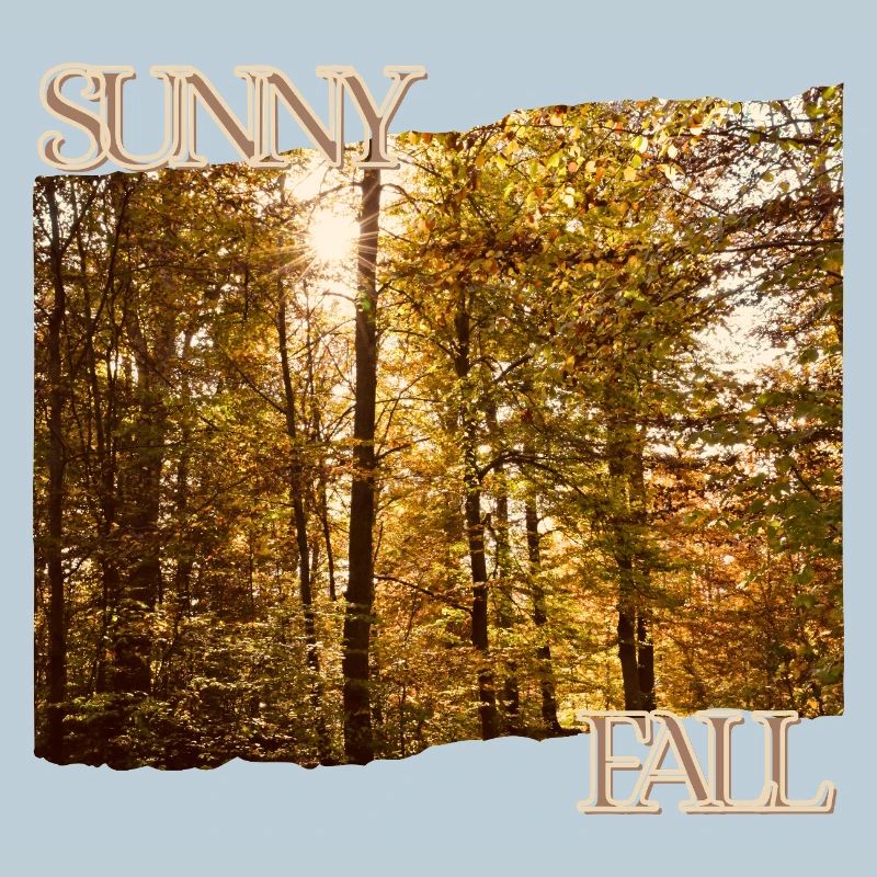 Sunny Fall - Herbstsonne im Wald
