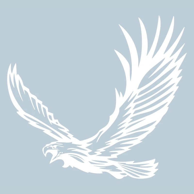 Eagle in Flight - Design