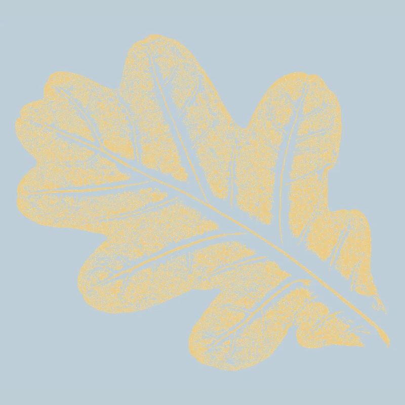 Blatt - Eiche / Botanik & Natur 