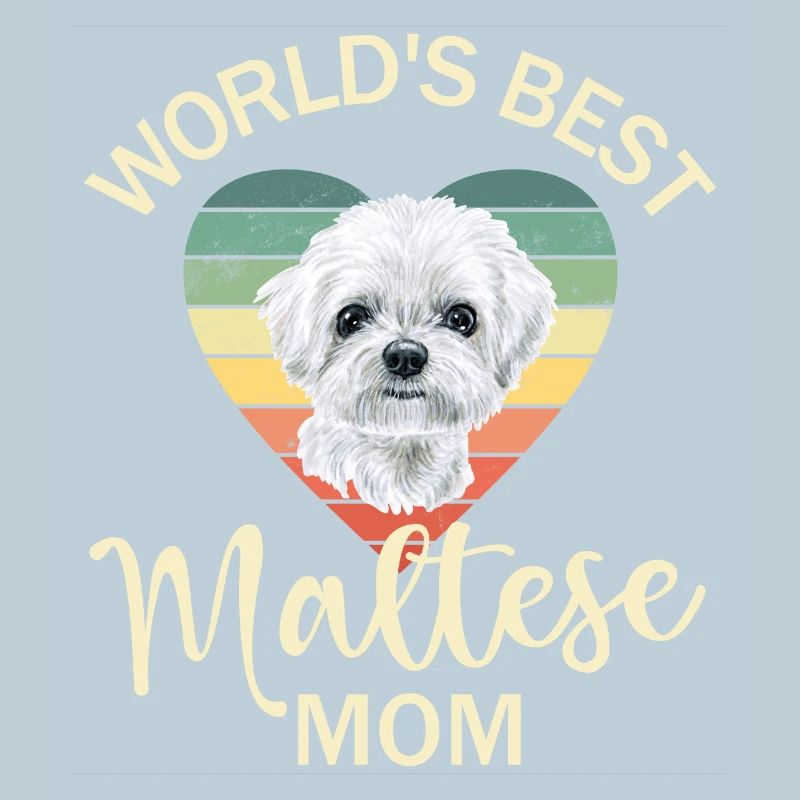 Chien maltais