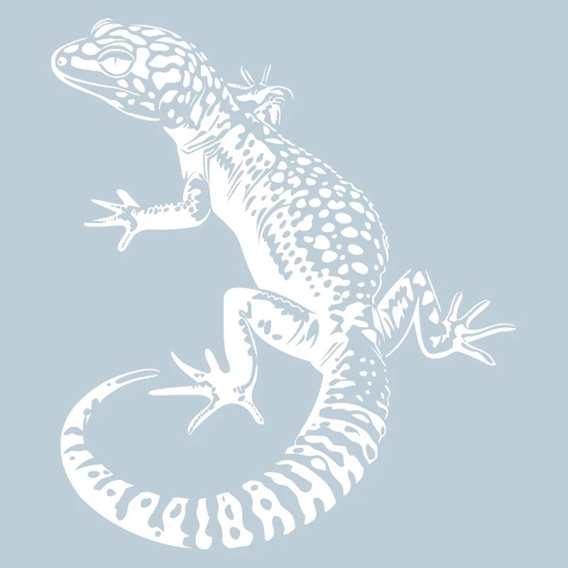 Gecko Léopard Gecko Contraste
