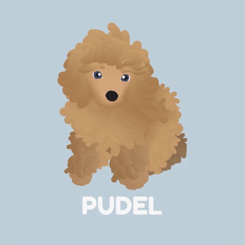 Chiot Caniche