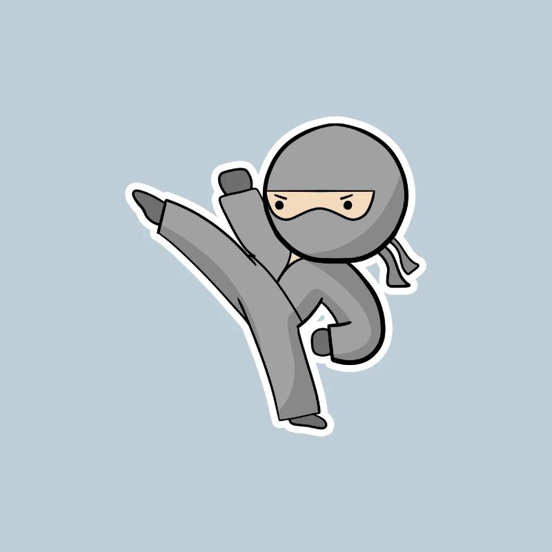 Ninja Kick