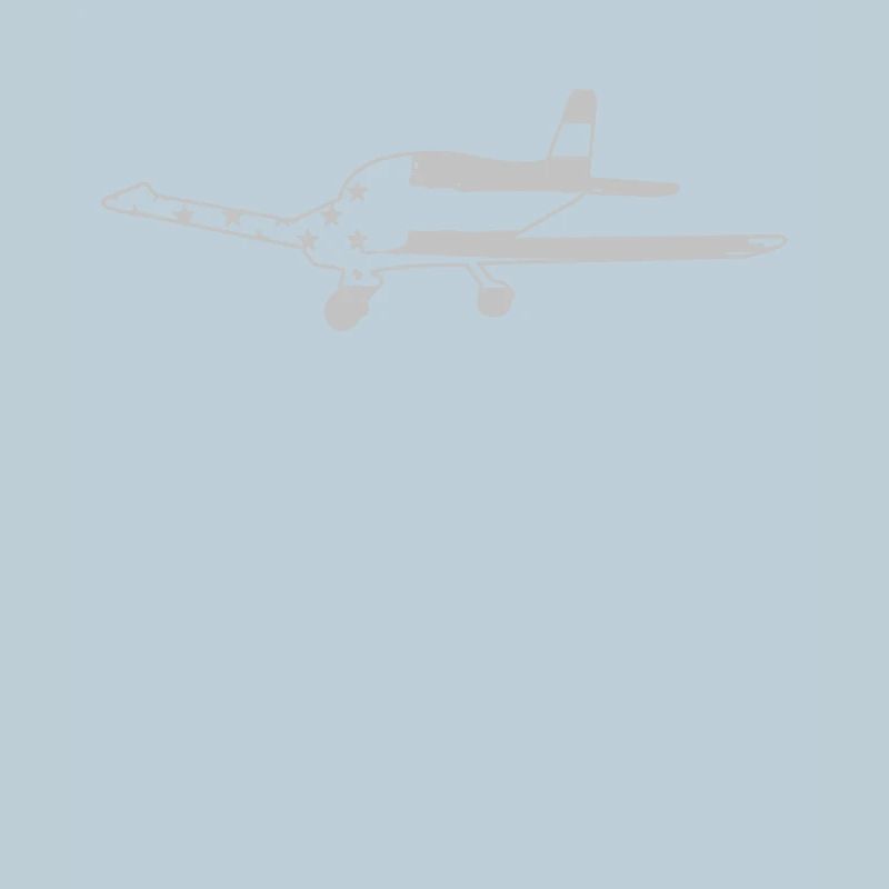 Flugzeug Pilot Luftfahrt