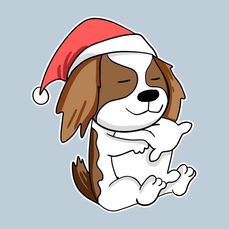 Cavalier King Charles Spaniel chien Animal