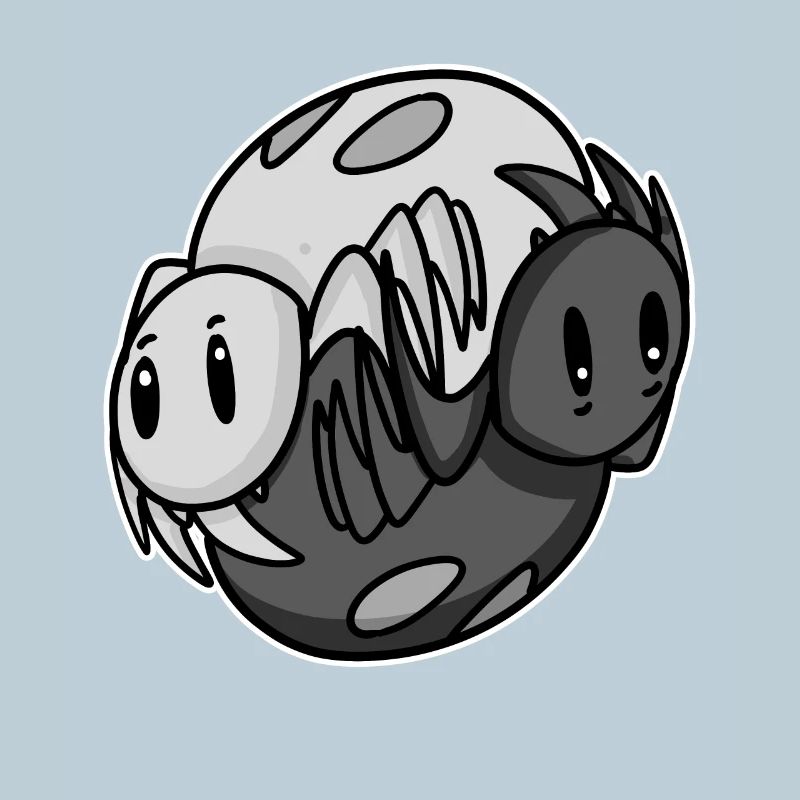 Yin Yang Spider