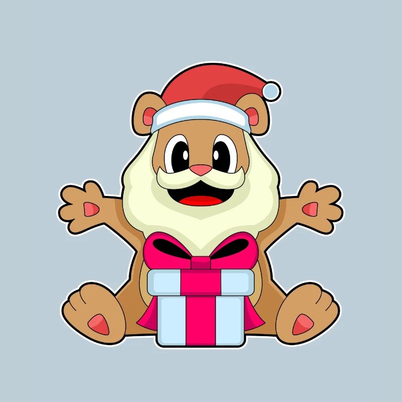 Bear Christmas Package