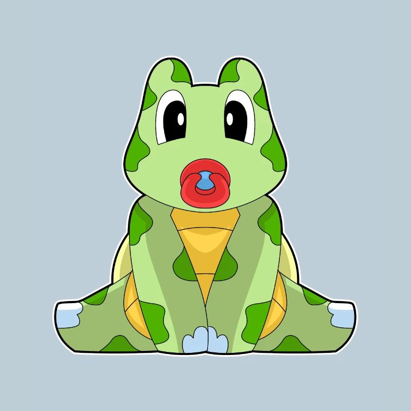 Turtle Baby Pacifier