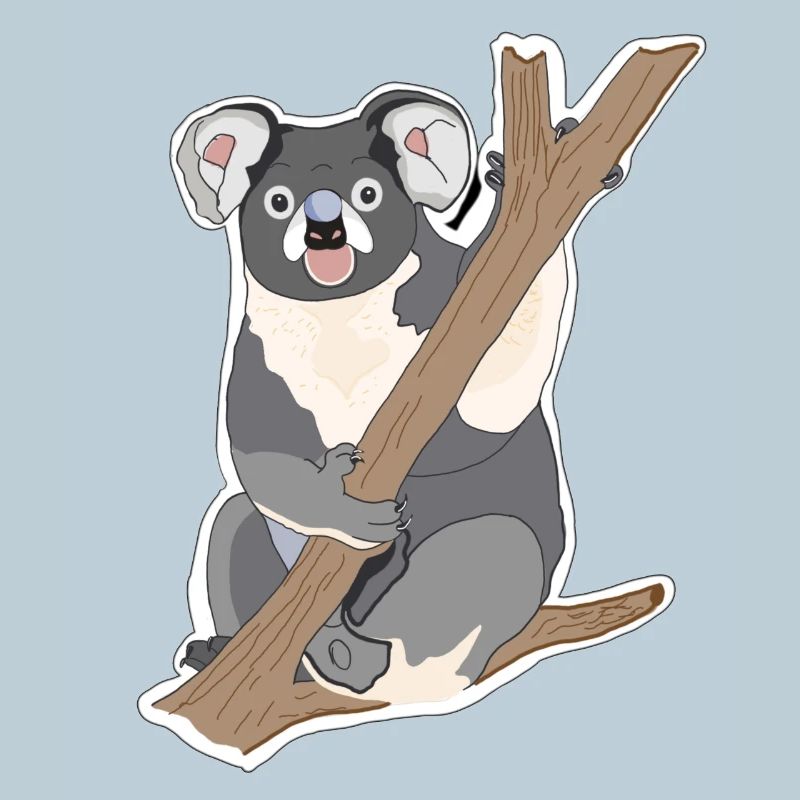 Koala Koalabär