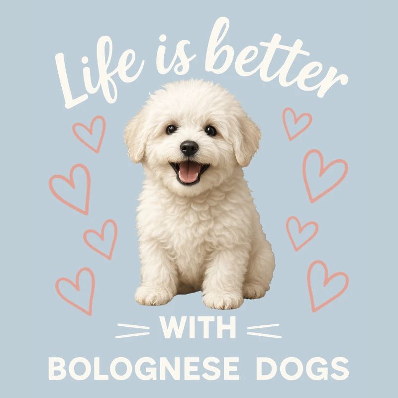 Bolognese Dog
