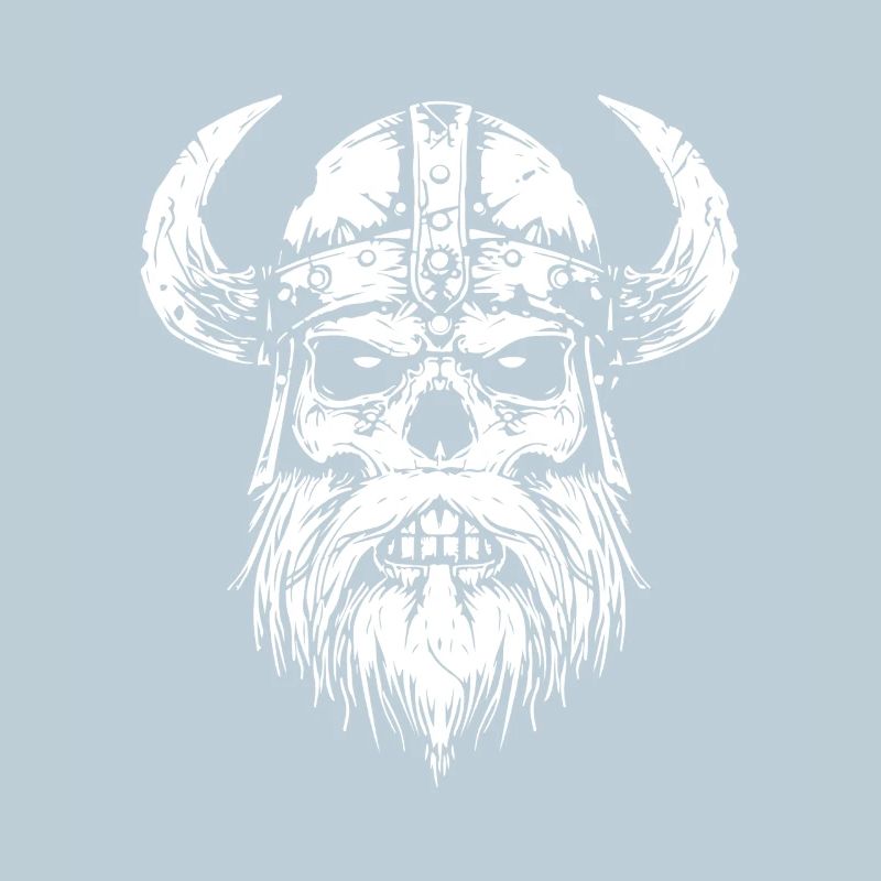 Crâne viking avec cornes