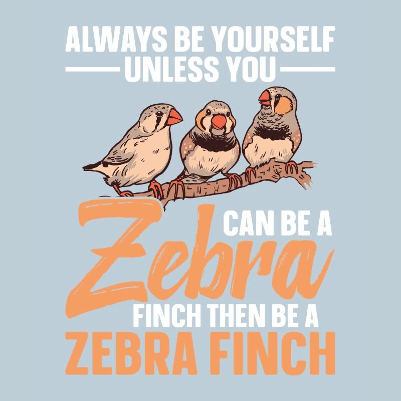  Zebra Finch Lover Enclosure Bird Owner Tools