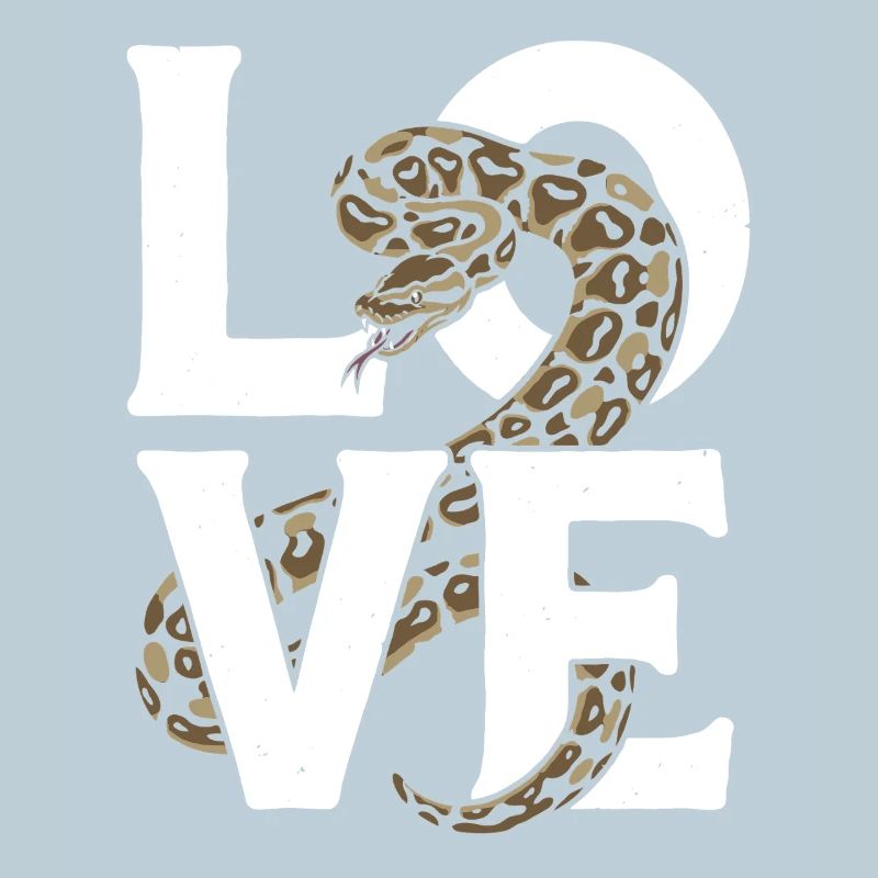 Les serpents rois Python ADORENT les pythons de terrarium