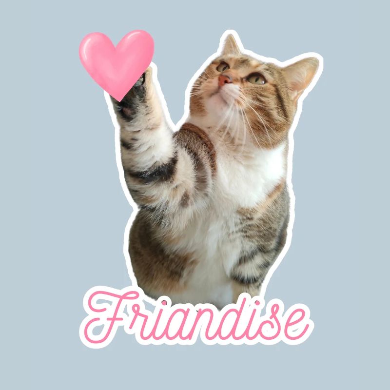 Missty check friandise