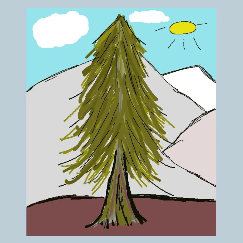 Coniferous forest on the mountain sunshine