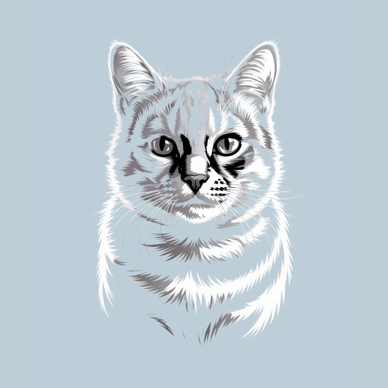 Chat