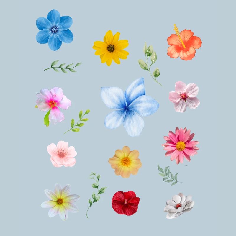 Spring is Coming
