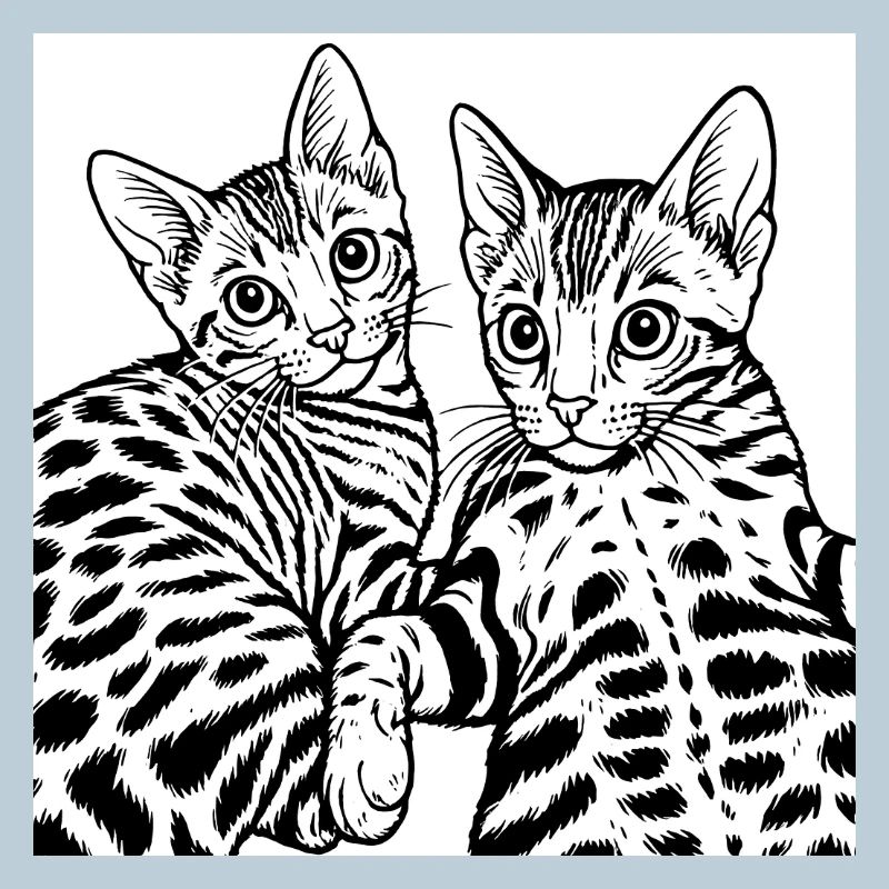 Dessin au trait Cat Duo