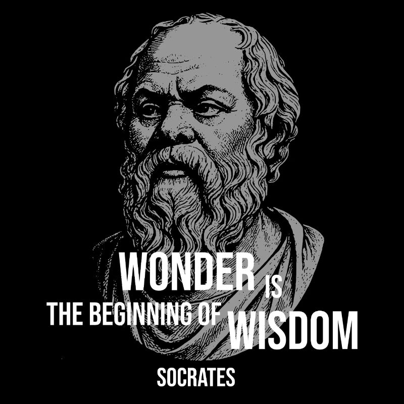 Citation de Socrate Wonder Tee