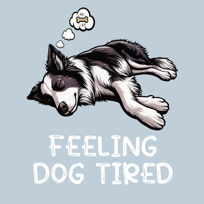 Feeling Dog Tired Border Collie Collie Owner
