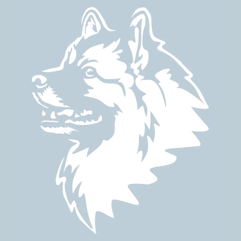 Tête Wolfsspitz « Black Edition »