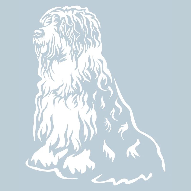 Bobtail « Black Edition »