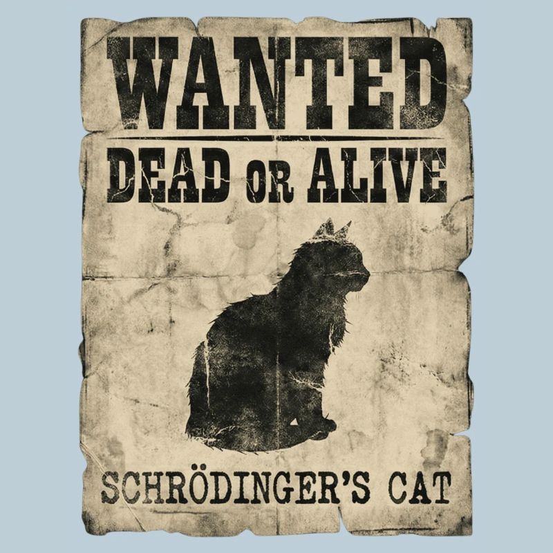Le jeu de mots de Schrödinger’s Cat Wanted Dead Or Alive Or Alive : Physics