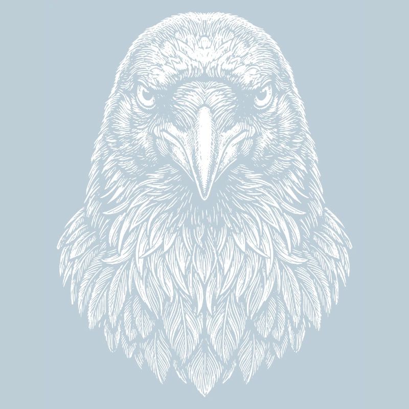 Aviator Eagle Headline Art